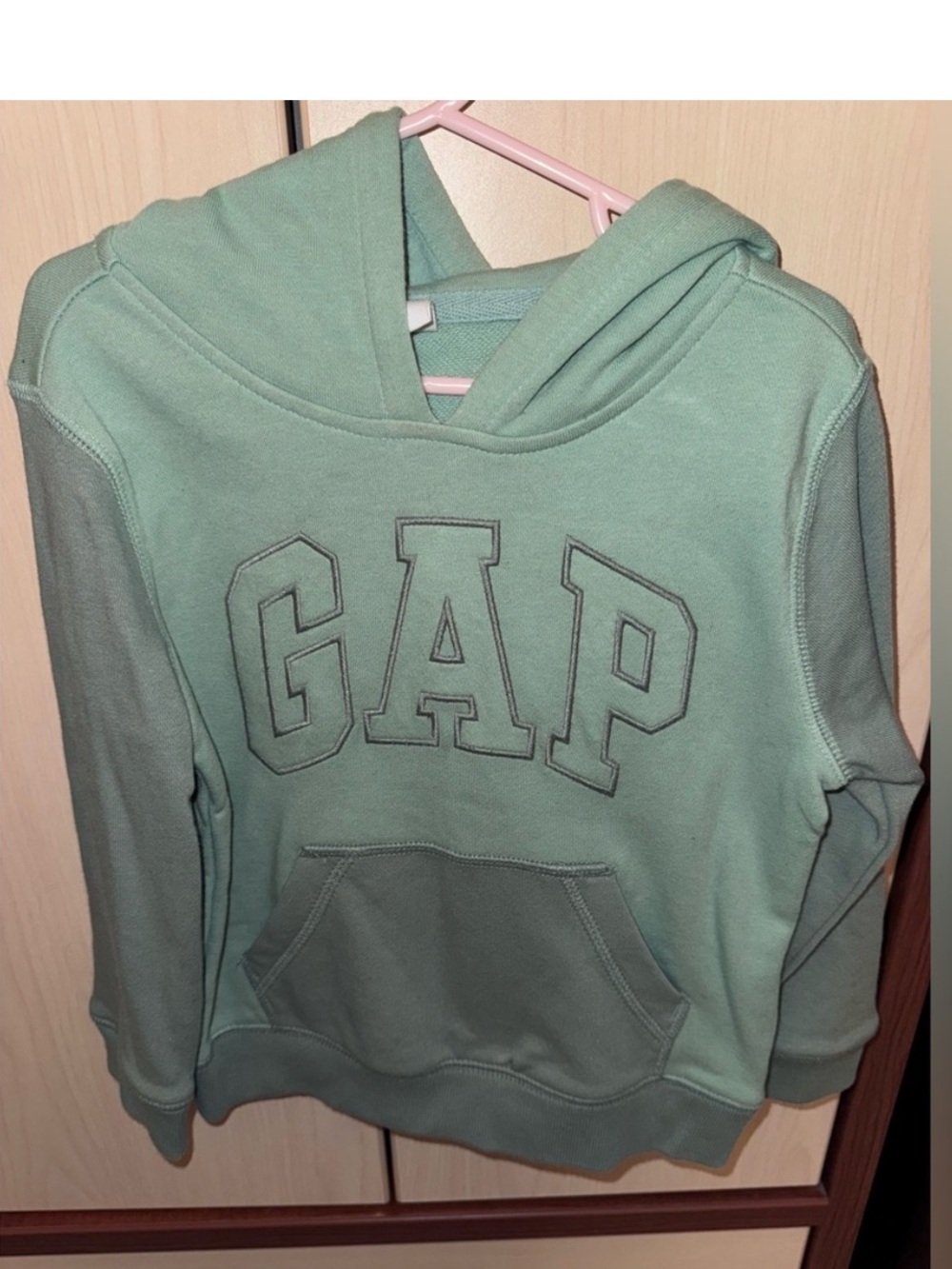 GAP Kids Boys 4T Green Logo Pullover Hoodie Sweatshirt Kangaroo Pocket